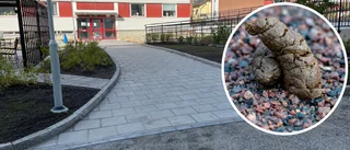 Bovärdarna får sopa upp skit efter era hundar