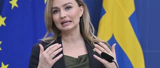 Ebba Buschs löfte: Kärnkraft till lågpris – på bekostnad av många