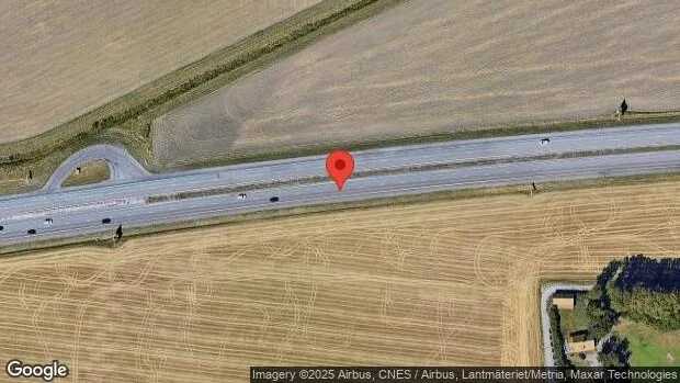 Rådjur på fel sida av viltstängslet på E4