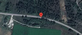 Träd över vägen skapar problem i trafiken på väg 143