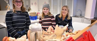 Efter 119 miljoner och 1,5 år – skolan öppnar