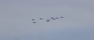 Här flyger julgranen över Uppsala
