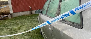 Kvinna död efter hundattack i Robertsfors – ytterligare en person skadad