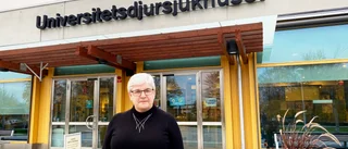 Ännu natt- och kvällsstängt på djursjukhuset under veckosluten