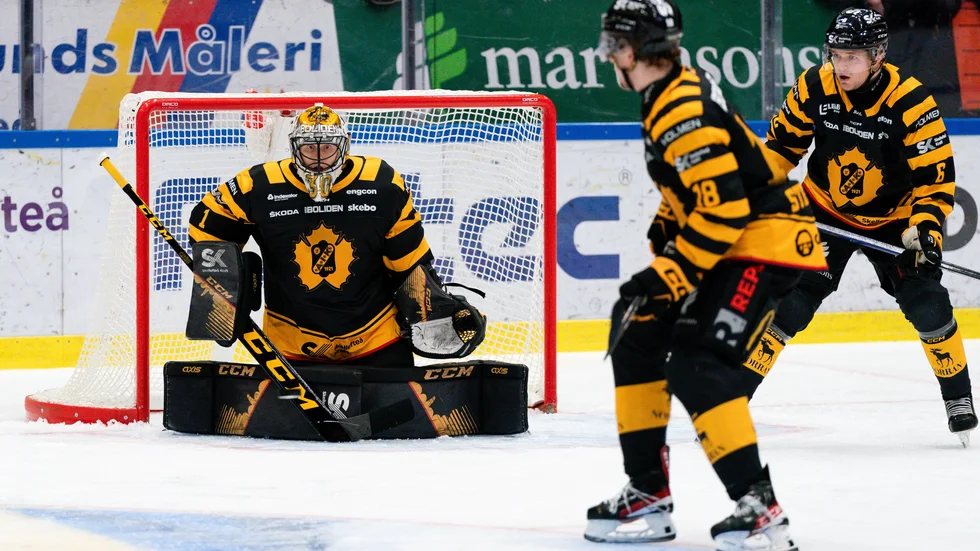 Alexander Hellnemo tog 32 av 33 skott när Linköping gästade Skellefteå – och har fortfarande inte förlorat i A-lagströjan.