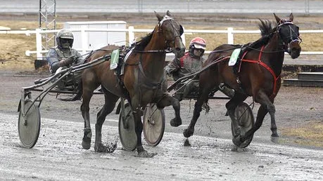Amatörtränade Handsome Fayline (7) med Ove A Lindqvist i sulkyn tog hem segern i det avslutande V4-loppet. Den bästa present jag kunde få, säger tränaren Ola Johansson som firade sin 37-årsdag.