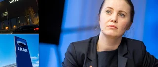 Toppolitiker varnar för statliga bolagens chefstrategi
