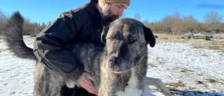 Ednan startar hundcenter utanför Västervik