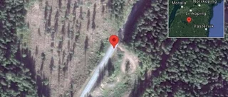 Fallna träd skapar problem i trafiken