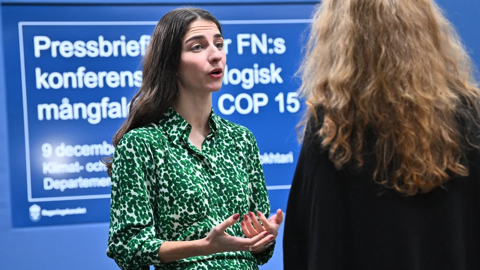 Frågan är om miljöminister Romina Pourmokhtari (L) kommer driva på för ett ökad skydd av naturen under FN:s stora toppmöte COP15, skriver flera miljöpartister.