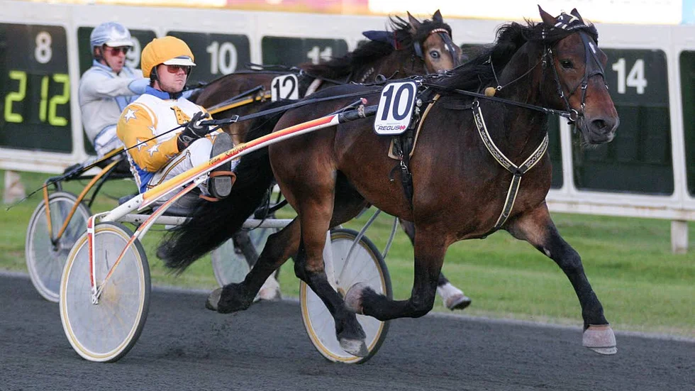 Enkelt. Björn Karlsson visste vad han gjorde när han startade kallblodet Lottmar på Bodentravet i går. Lätt seger och de 40 milen hem gick säkert lätt.