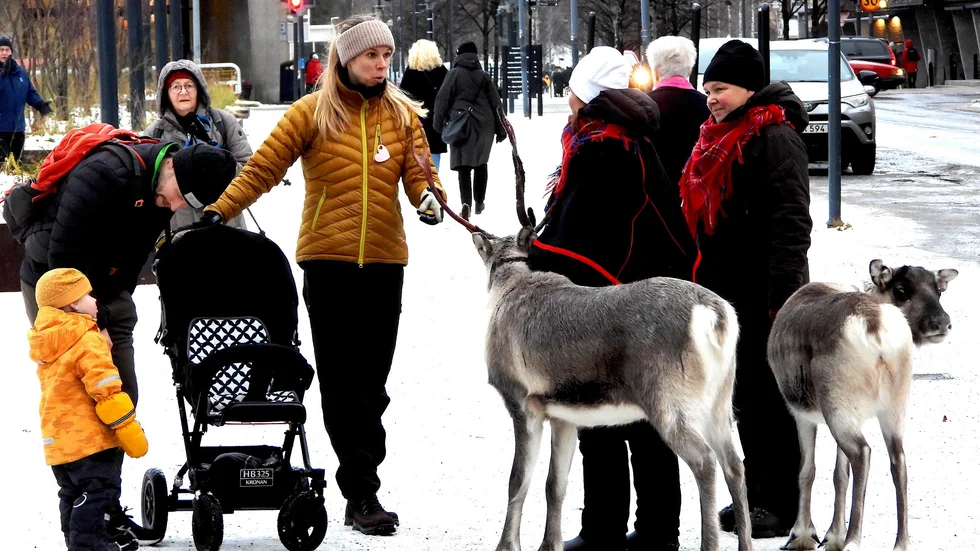 Oj, oj pappa vad är detta? Renar på Storgatan. – Det är tomtens renar som ska dra honom i sin kälke så han kan komma till dig med alla julklappar på juafton!