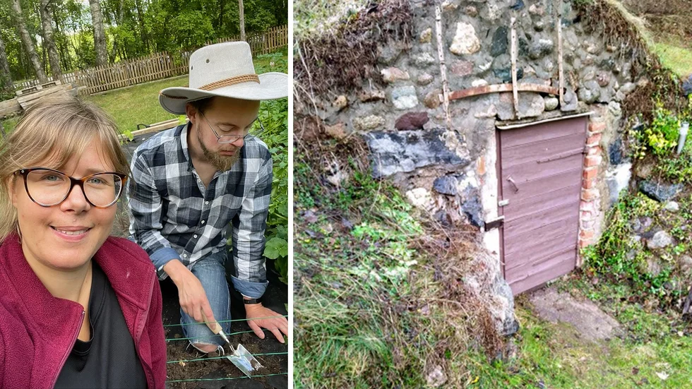 Sara Pengermaa och hennes familj är självförsörjande sedan några år. På bilden odlar hon och sambon Dennis brytbönor. Till höger är jordkällaren. 

