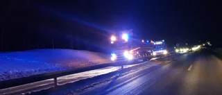 Buss och personbil körde på älg