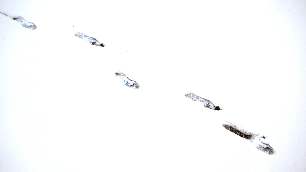 Fotspår i snön konstaterades efter att obehöriga personer gått in i ett fritidshus nära Mariefred (arkivbild).