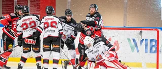 Oddsen är här – så rankar spelbolagen Piteå Hockey inför serien