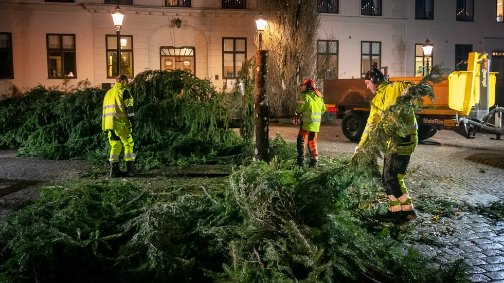 Granen på torget togs bort på tisdagsmorgonen. Och den kommer inte att ersättas med någon ny.