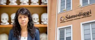 Samiska skelettdelarna gömdes och glömdes – nu återlämnas de: "Vi är naturligtvis glada" • Användes i rasbiologin
