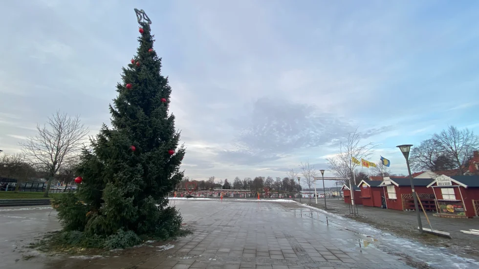 Den sneda julgranen står och lutar på Västervikstorget. Hur hög den är har Rose-Marie Byström inga exakta uppgifter om.
