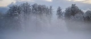 Samtal med januari på farstutrappan