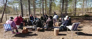 Friskvårdsdag i solen