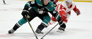 Nattens NHL: Lundeström utvisad – närmar sig match tio