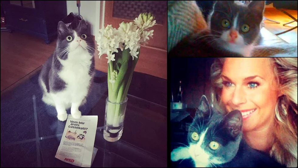 Sist vald. Egon, med de ugglelika ögonen, blev sist kvar i sin kull. Hade inte Sophia Innala tagit hand om honom hade han kanske inte levt i dag.