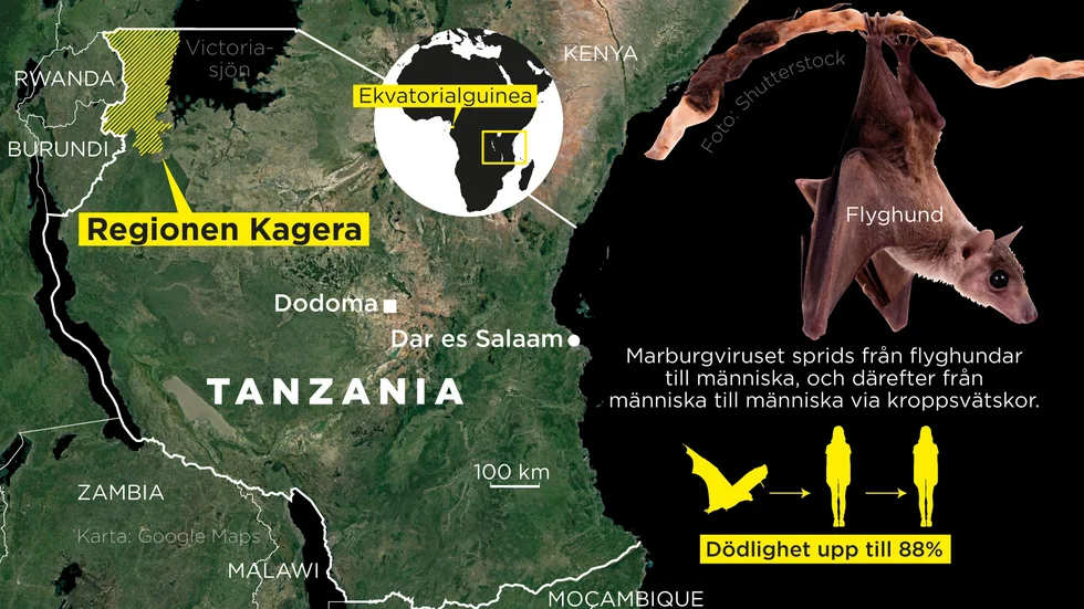Flera personer har avlidit i den mycket smittsamma blödarsjukdomen marburg i Tanzania.