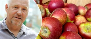 Inga krav på att skicka med frukt till skolan
