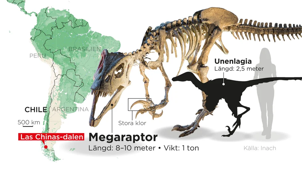 Fossiler av olika dinosaurier har hittats i Las Chinas-dalen i södra Chile.