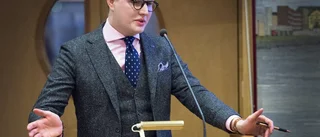 Rosengrens efterträdare inte utsedd
