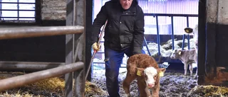 I Sverige har Anatolii kommit närmare familjen