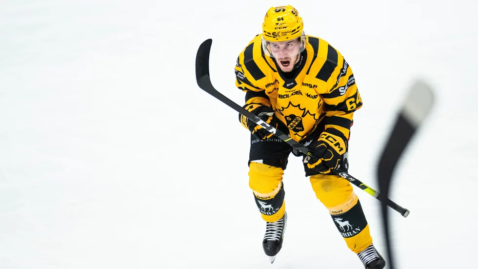 Jonatha Pudas glädj över att Skellefteå AIK lyckades besegra Växjö igen. 