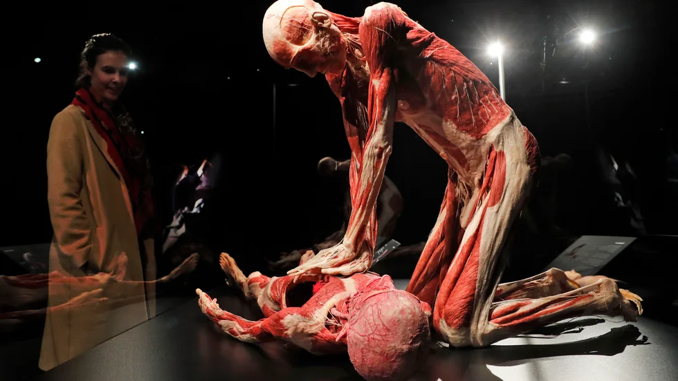 Utställningar med döda kroppar har tidigare visats i Sverige, till exempel den stora utställningen Body Worlds. I andra länder har myndigheter ibland stoppat lik-utställningar på grund av tveksamheter kring kropparnas ursprung.