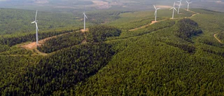 Striden om vindkraftsparken fortsätter