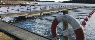 Domstol: Småbåtshamn saknar tillstånd