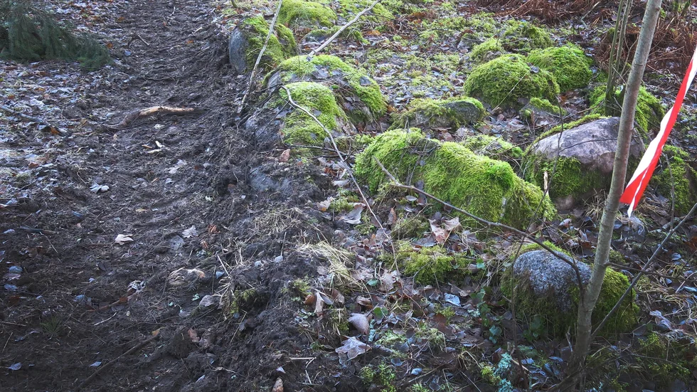 En skogsmaskin har kört på stenarna i ett gravfält i västra delen av Östergötland. 