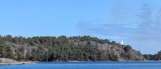 Började brinna igen – gräs och träd i brand