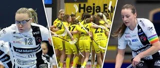 Endres försök till dubbelvärvning – på besök i veckan