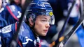 Spelade med LHC i SHL i vintras – nu är han klar för Vita Hästen