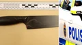 Västerviksbon högg sambon med kniv – sedan föreslog han sex