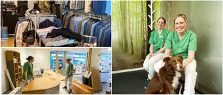 Klädbutikens förvandling – från Hugo Boss till håriga vänner