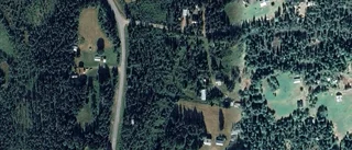 Skogen på Männikkö 3 i Vettasjärvi tas över