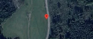 Nedfallna träd påverkar trafiken på väg 717