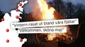 Här kan du fira våren – över 30 majbrasor runt om på ön