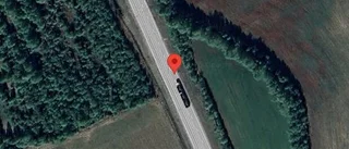 Älg på vägen kan skapa fara på E4