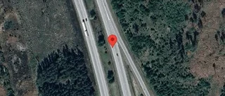 Rådjur på vägen kan skapa fara på E4