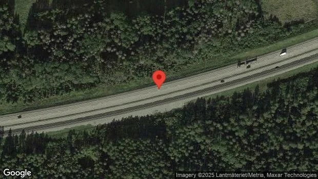 Rådjur på fel sida av viltstängslet på E18