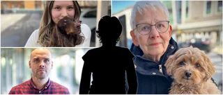 Misstänkt kvinna avslöjad efter hundattackerna i centrala Luleå 