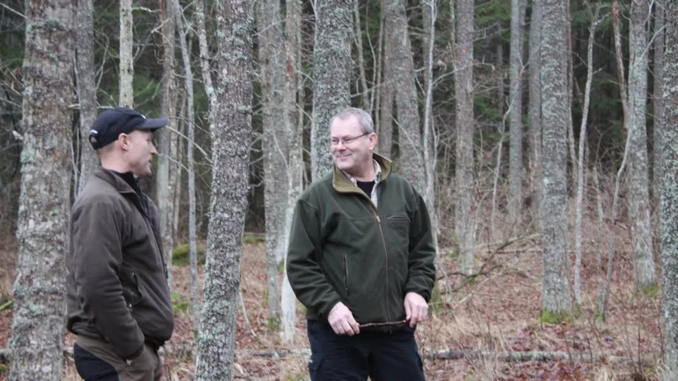 Ekplaneringer ska bli en allt vanligare syn i ekopark Omberg, berättar Christer Samuelsson och Per Petersson från Sveaskog. Den här är från 1950-talet.